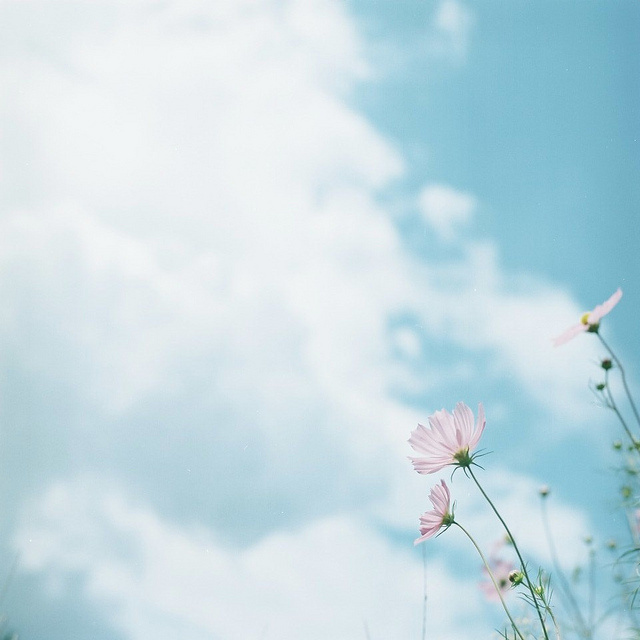 10.孩子不喜欢学习，他们不听课，也不在家中做作业。即使写作也很慢，这确实很烦人。