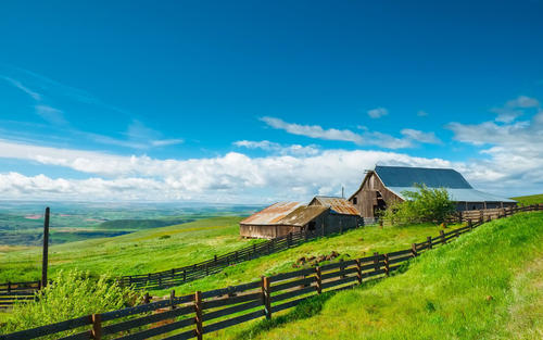 10.有时您说自己不喜欢它，这样当您说喜欢时，您将变得非常珍贵。