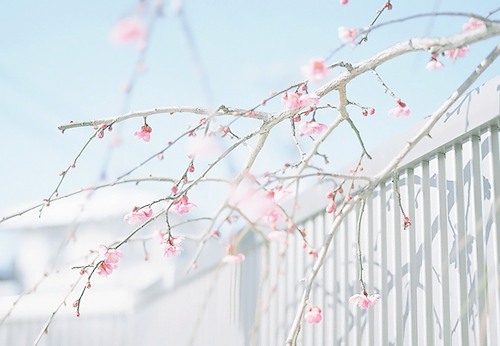 写阳光和亲情的唯美句子 1