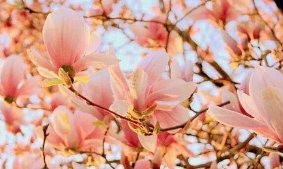 心痛心碎的句子 1