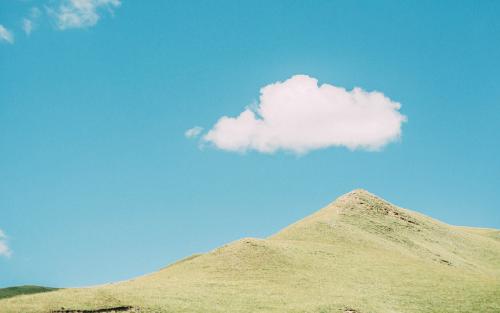 11.现在我为紫色疯狂。当我看到它时，我的心会莫名地舒服！