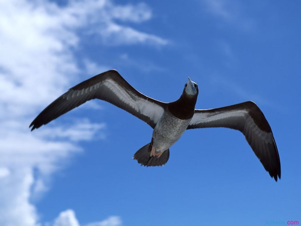 押韵创意团队口号2