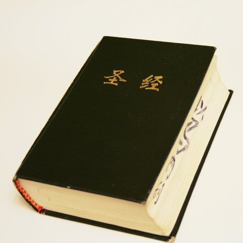 圣经里的经典句子 3