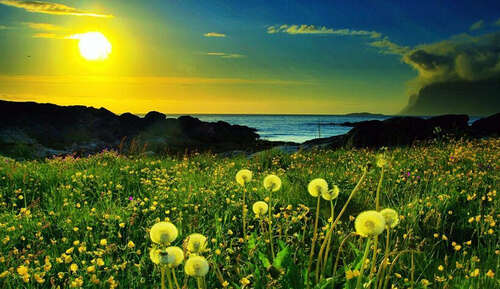 关于英语的审美句子