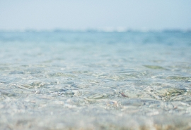 11.海洋，真正的海洋，就像北部高原的广阔土地一样，凝聚着难以言喻和神秘的生命力，使人们深入自然。