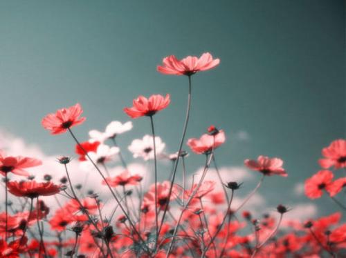 形容自己很心痛的句子说说心情短语 2