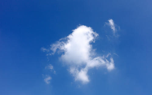 11.现在，当您悲伤时，眼中的泪水就是您的脑海！