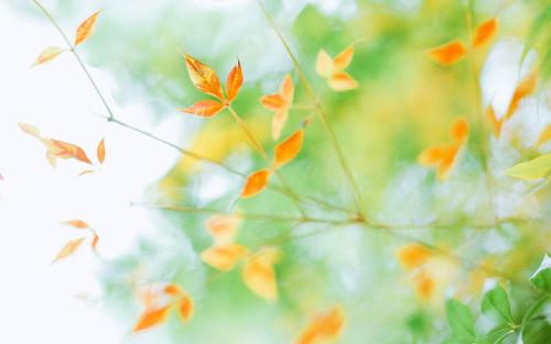 10.当他不再爱你时，请轻轻地怀念记忆中的温暖，并轻轻凝视褪色的温柔。