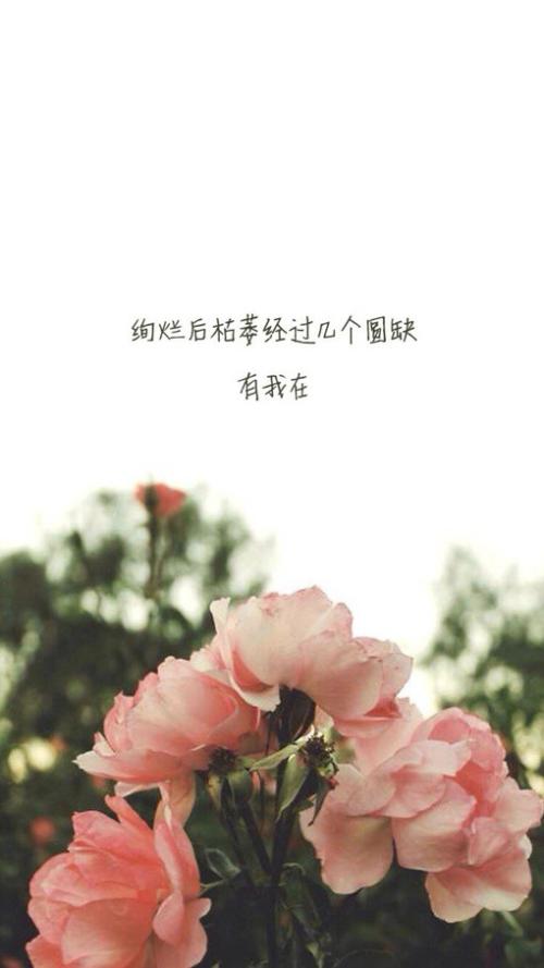 人特别心痛要崩溃的句子