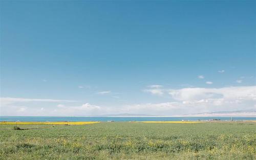 12.我喜欢的人可以在我的女友留言板上度过寒假。