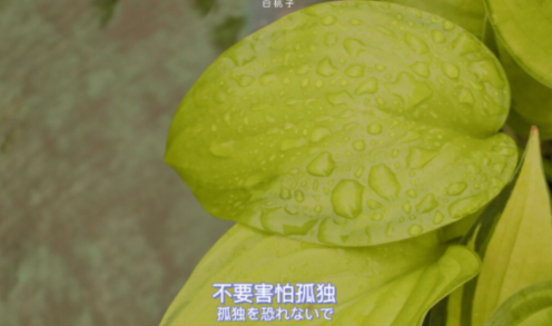 超柔和的正能量句子享受独处的鼓舞人心的谈话