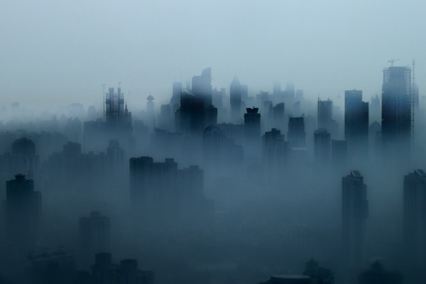 100.鲜花盛开，值得赞赏。不要折叠花朵并欣赏树枝。