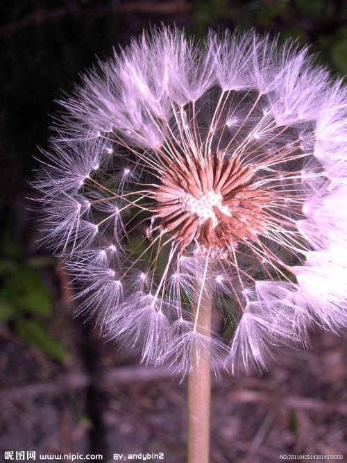 人不能忘了亲情句子