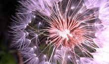 人不能忘了亲情句子