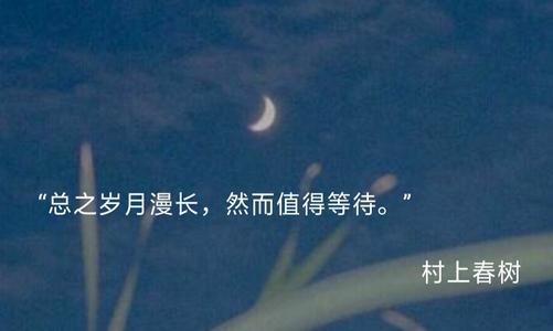 村上春树的经典爱情名言