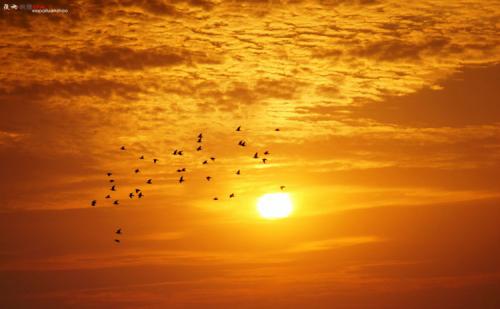 15.伟人有两颗心：一颗心在流血，一颗心在宽恕。 -吉布兰