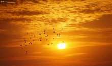 做人胸怀宽广的座右铭