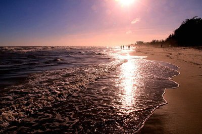 10.春风拂过幸福的心弦；春雨就像编织，抚慰心灵的梯田。春天灿烂，明媚的春天风光。春天来了，生命无限。愿您播下春天的种子，终生幸福！