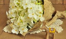 亲情友谊句子说说心情短语