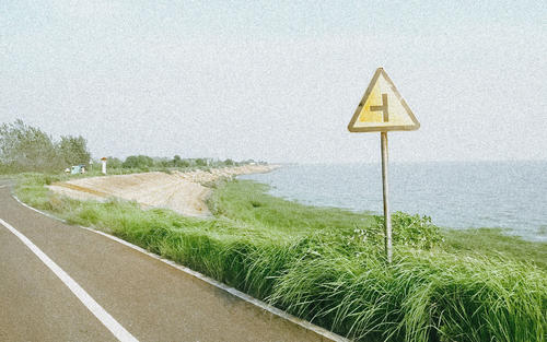 11.阳光和鲜花是乐观的笑容，而凄凉和痛苦是悲观的叹息。