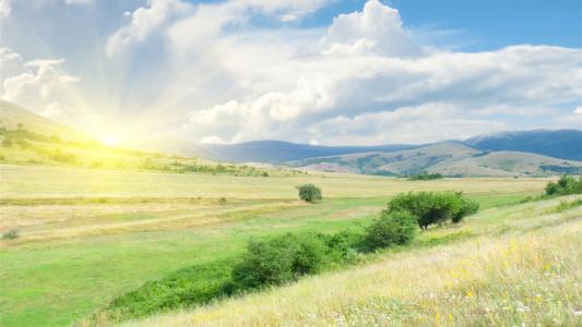 形容友谊变成亲情的句子 2