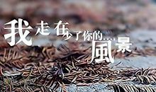 关于距离的伤感说说