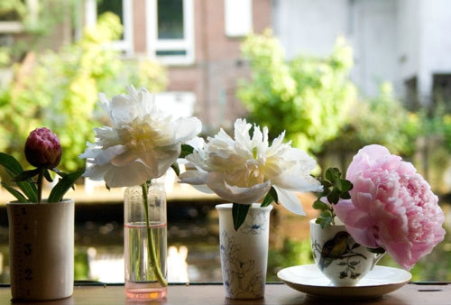 11.我对自己的要求并不是每天给自己带来幸福。