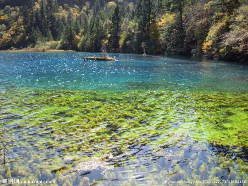 亲情友谊句子说说心情 1