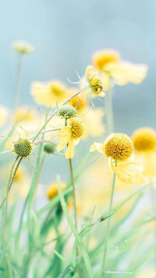 亲情友谊句子说说心情 2