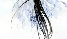 唐七公子经典语录