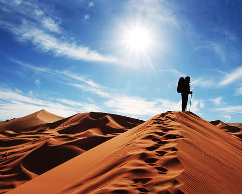 14.几经转世，这个秘密变成了地壳，爱情显得苍白，表达了清晰的自白，古老的音乐穿越了心灵的缝隙