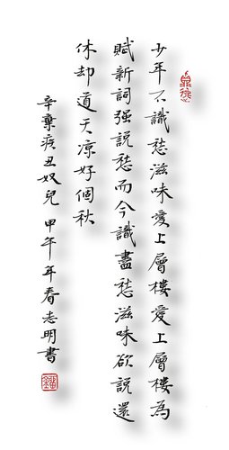 描述青少年的句子