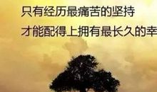 描写成功人士的句子