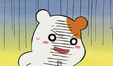 个性签名没钱的日子