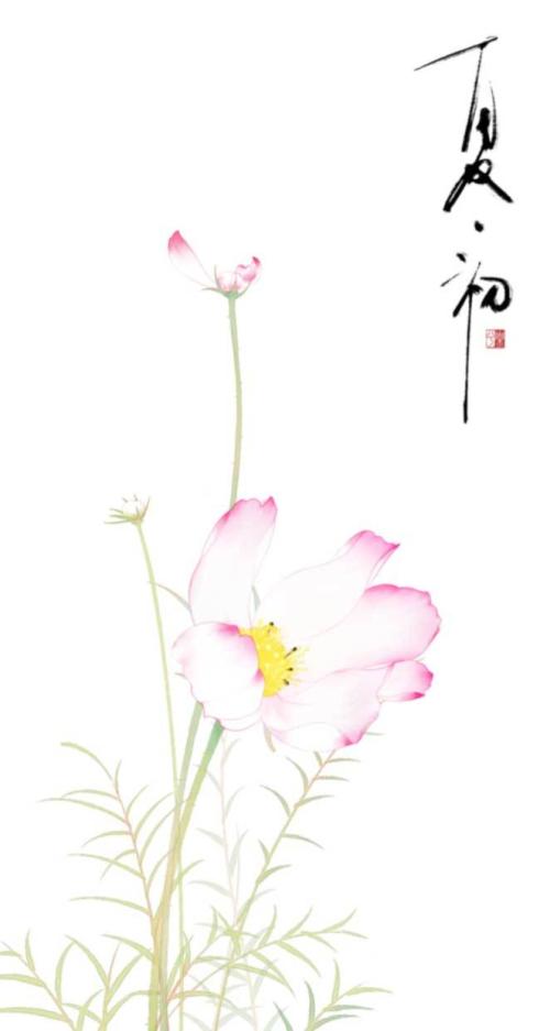 初夏的优美句子