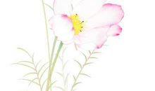 初夏的优美句子