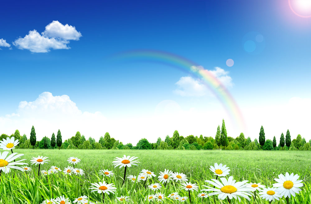 关于春天的漂亮句子