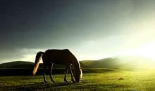 关于工作的人生感悟句子