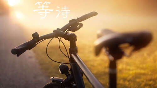 20.四个季节将轮回，等待将寂寞，爱将在深处寂寞，绿色的丝绸将渗透到众生和路人中。