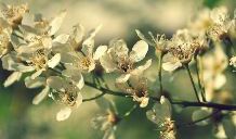 赞美写亲情文笔好的句子