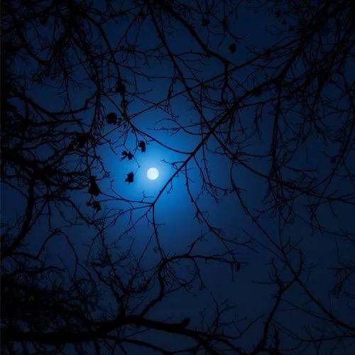 男人的成熟句子