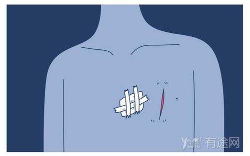 8.如果生命可以交换永恒的记忆，我会...