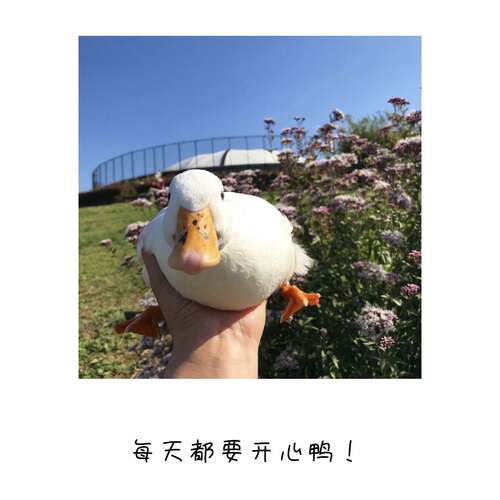 20.收到大学录取通知书后，她立即欢呼起来。