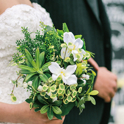 给我哥哥的婚礼问候