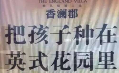 49.南湖中央花园—中央花园里的杜鹃花开放