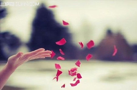 关于放手的句子