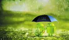 关于雨优美的句子