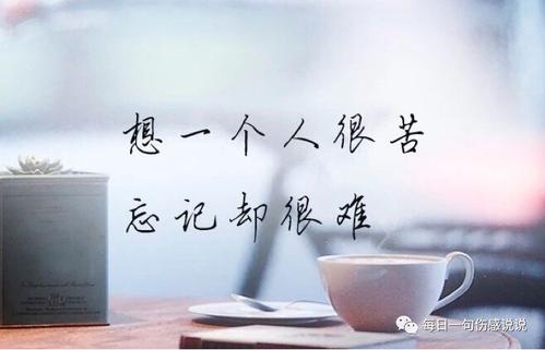 8.我们曾经是最甜蜜的恋人，现在是两条平行线，我们再也找不到相交处。因为失去你，我冷得发抖。因为失去你，我害怕冬天。