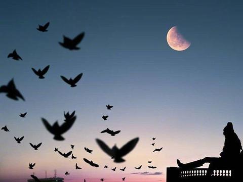 9.看着繁星点点的天空，它变成黑色，轻轻地搁在两个脸颊上，叹气不安，叹息星空，叹息水波纹，消散在无尽的星海中，一圈一圈地消散，消散在广阔的星空中寂寞。