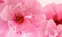 温暖心灵的美好句子